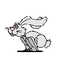 rabit